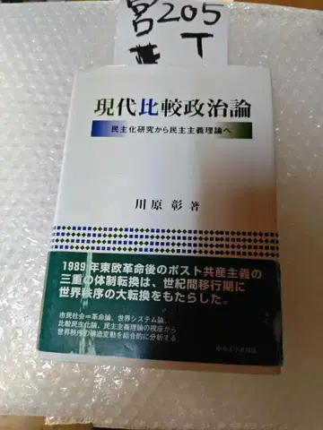 현대 비교 정치론 민주화 연구에서 민주주의 이론으로 89
