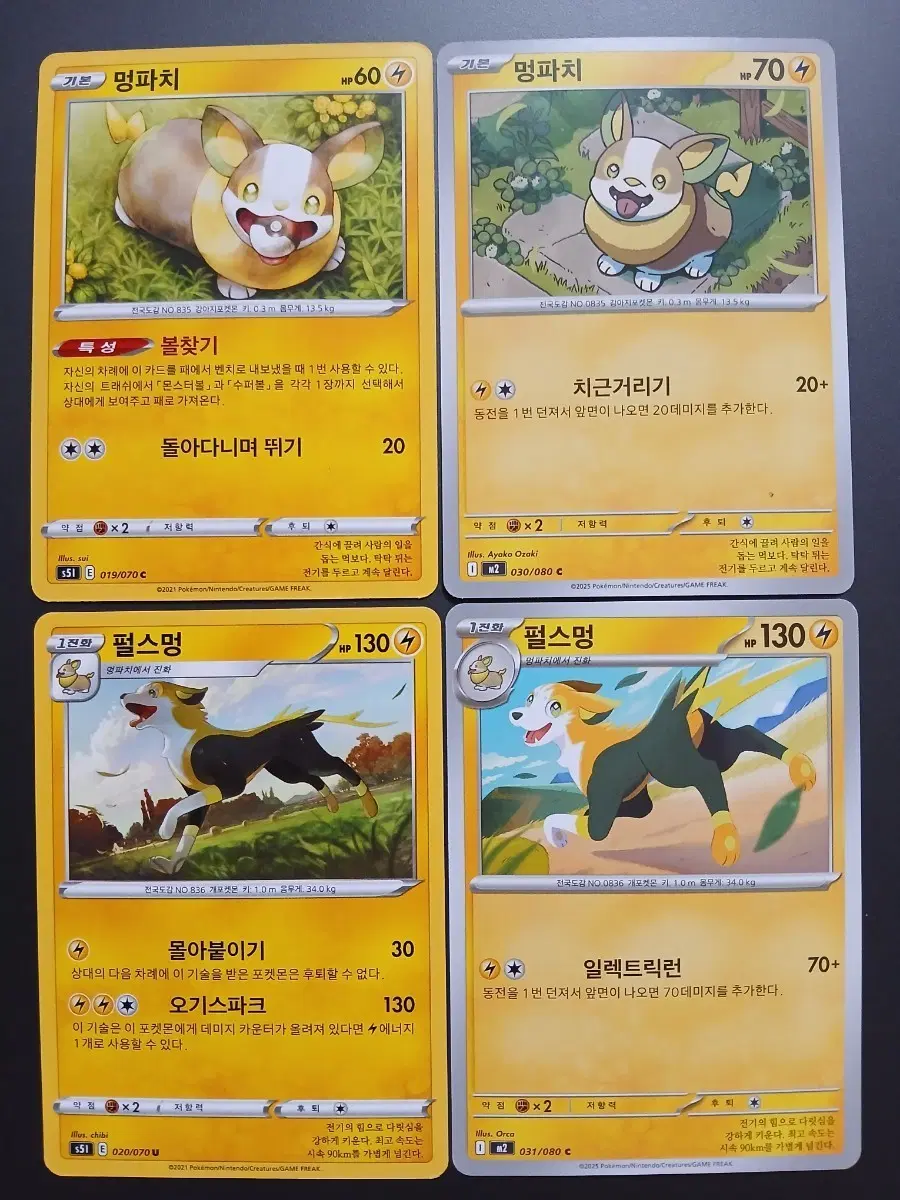 포켓몬 카드 멍파치 펄스멍 4장 일괄