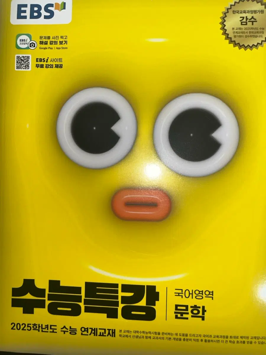 2025 EBS 수능특강 국어 문학