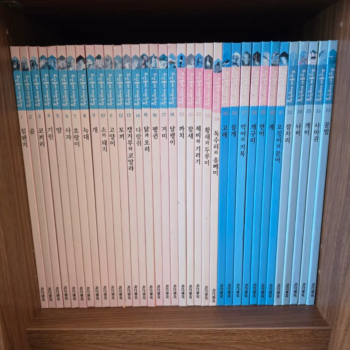 두산동아 자연관찰 전집