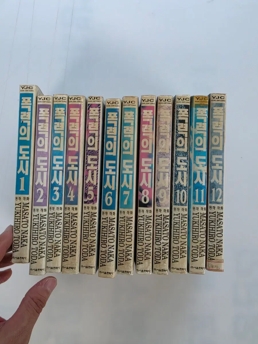 폭력의도시만화책1권12권완결