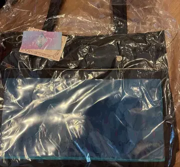 시마무라 치하루 씨 디자인 토트백 겨울왕국 엘사