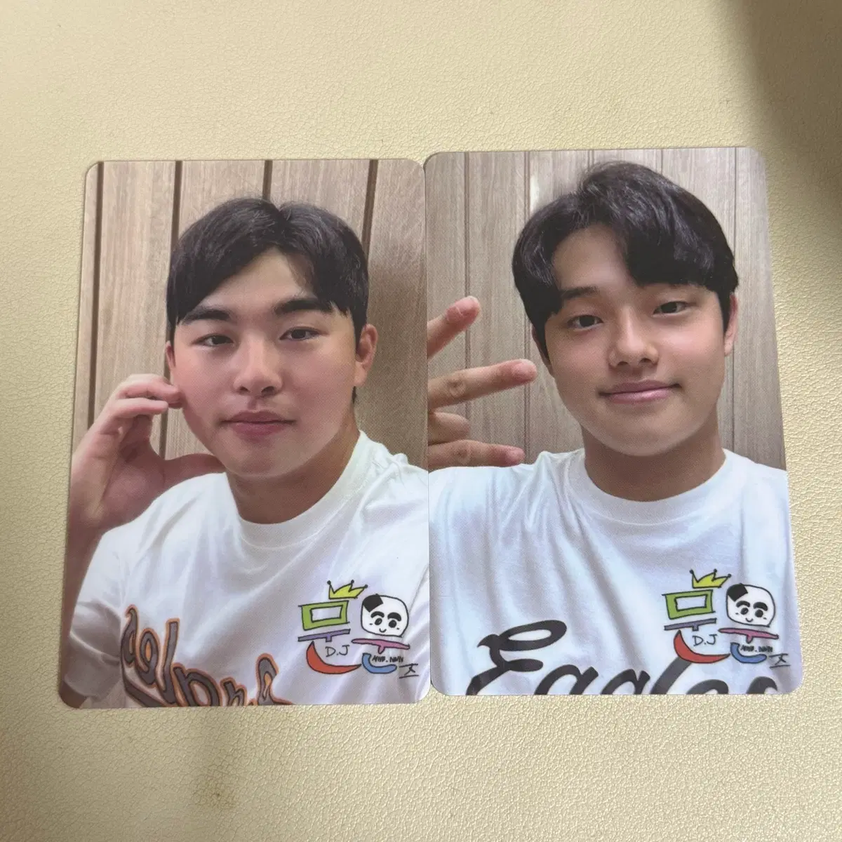 한화이글스 문문즈 문동주 문현빈 포카