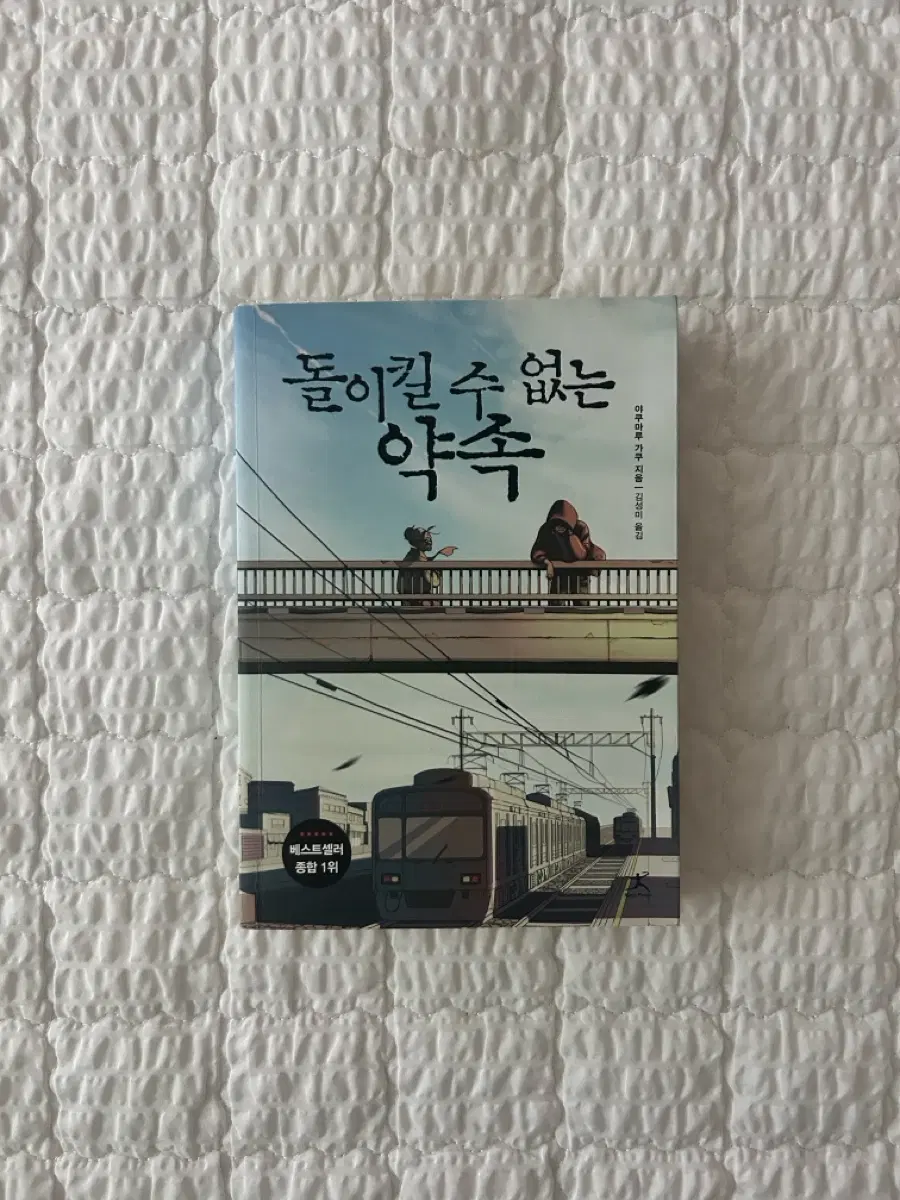 돌이킬 수 없는 약속 책 도서