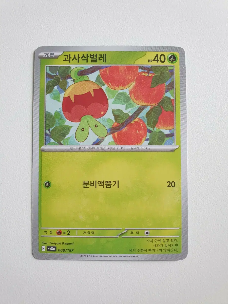 과사삭벌레 포켓몬카드