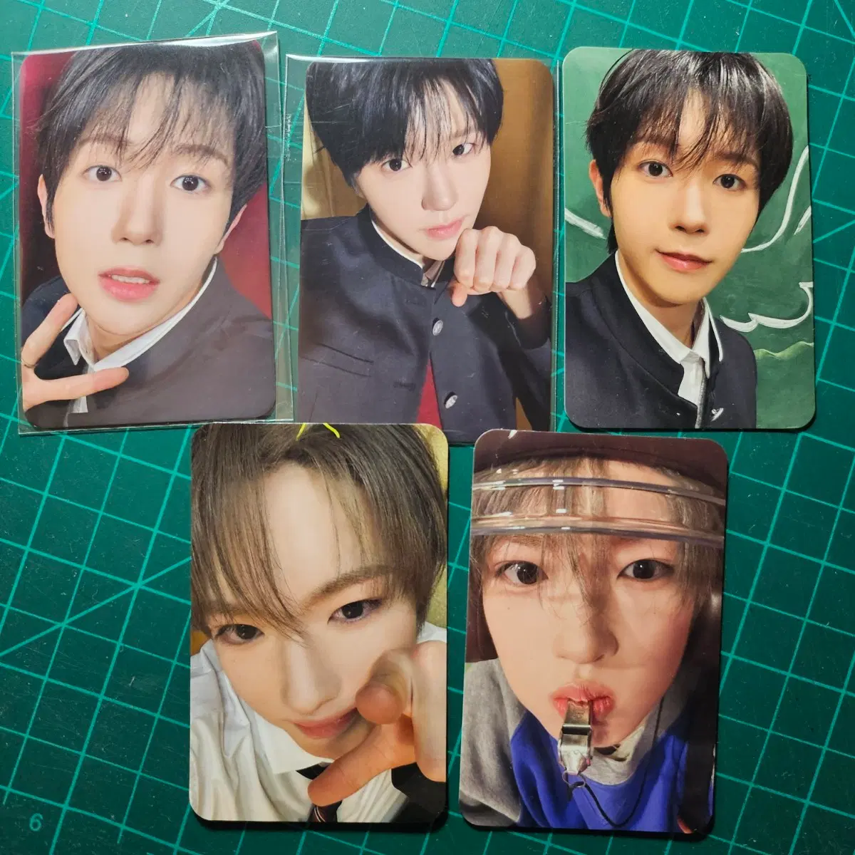 엔시티 위시 요이돈 보밋걸 포카 양도 료 재희 사쿠야 일괄