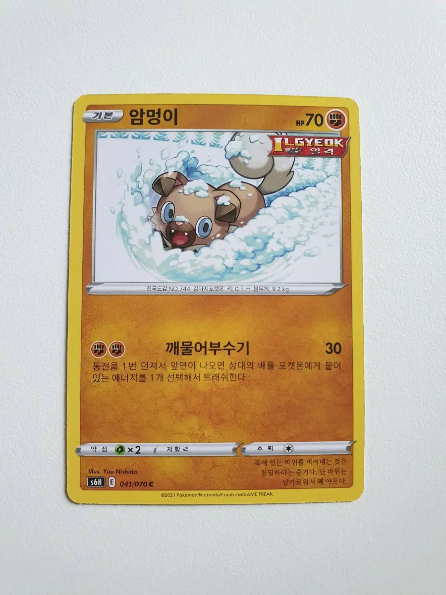 암멍이 포켓몬카드