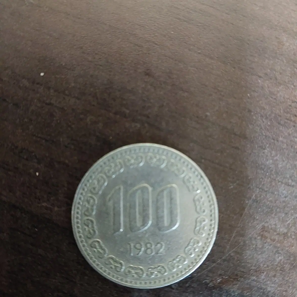 100원짜리 희귀동정