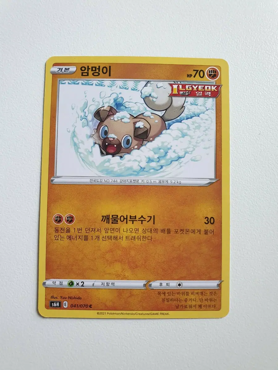 암멍이 포켓몬카드