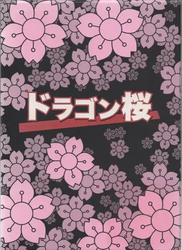 일본 국내 드라마 DVD 드래곤 벚꽃 DVD-BOX