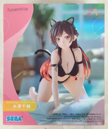 SEGA 유메미리즈 미즈하라 치즈루