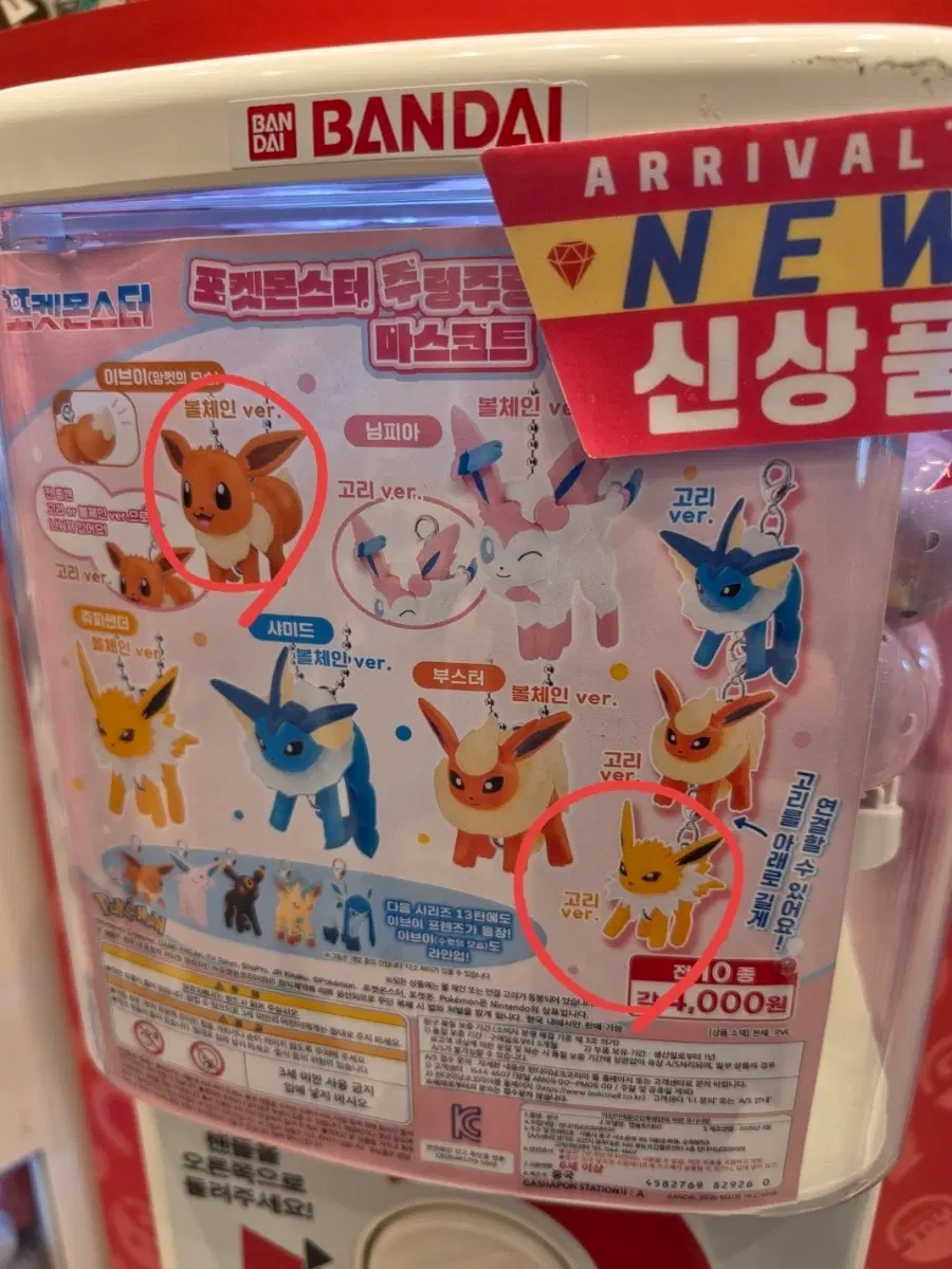 포켓몬스터 이브이 가챠 3개 일괄(이브이, 쥬피썬더, 에브이)
