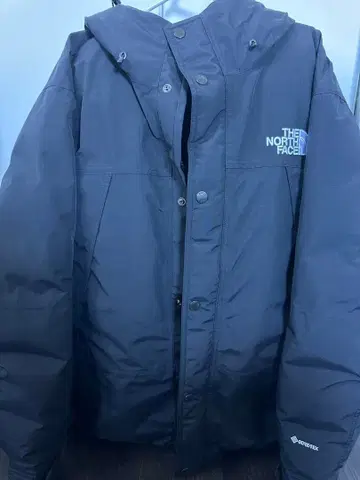 THE NORTH FACE 다운 자켓 GORE-TEX XL