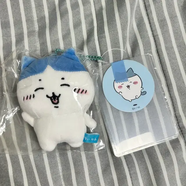 나가노 먼작귀 앞머리 하치와레 마스코트