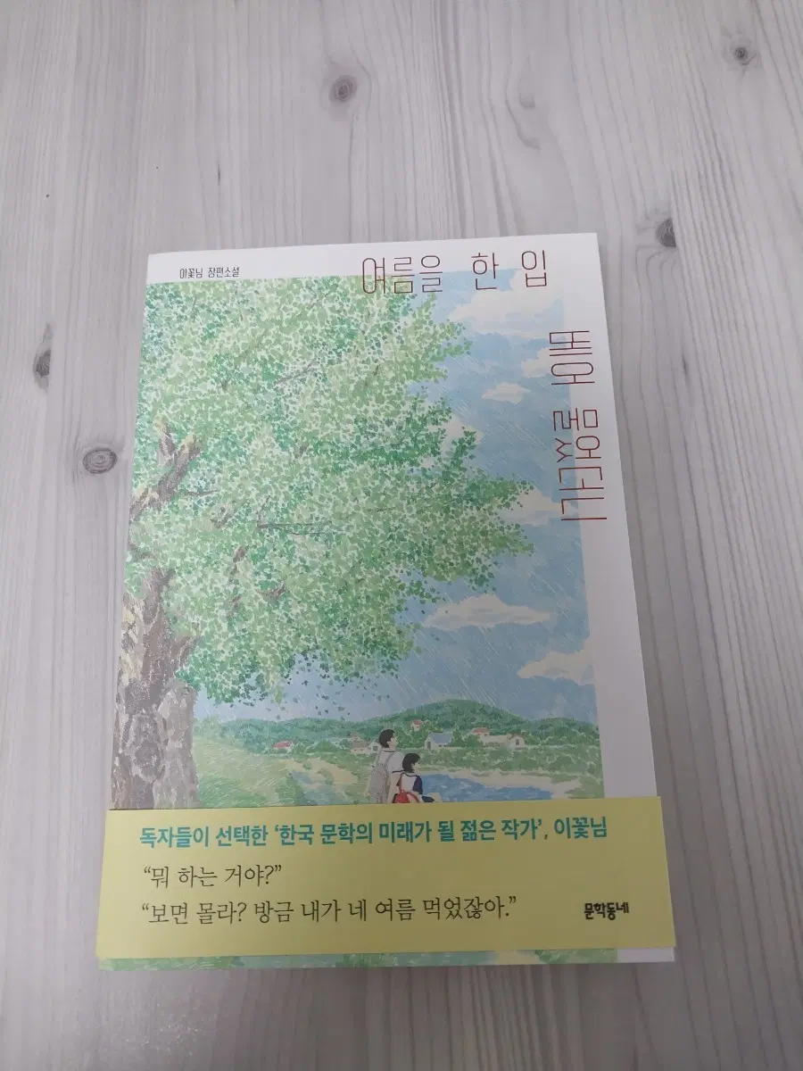 여름을 한 입 베어 물었더니