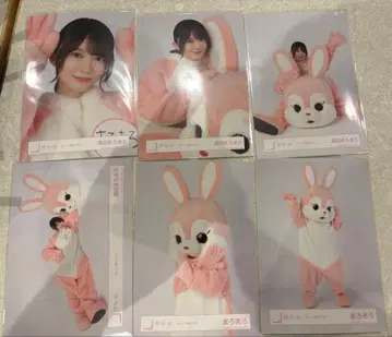 모리타 히카루 브로마이드 컴프 모리타 마로마로 발견! 사쿠라자카 토끼 2