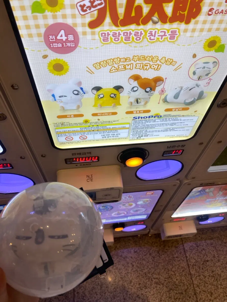 햄토리 소프비 가챠 얌냠이 판매해요