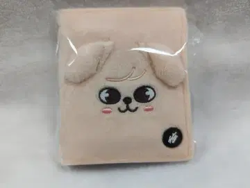 StrayKids 2025 SKZOO POPUP STORE 2nd MD 승민 사진 카드 케이스 SKZOO