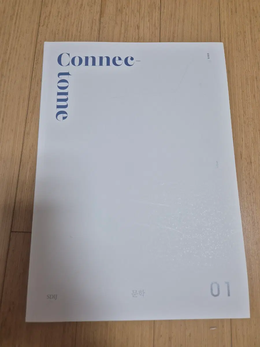 2025 시대인재 국어 Connectome 문학 01