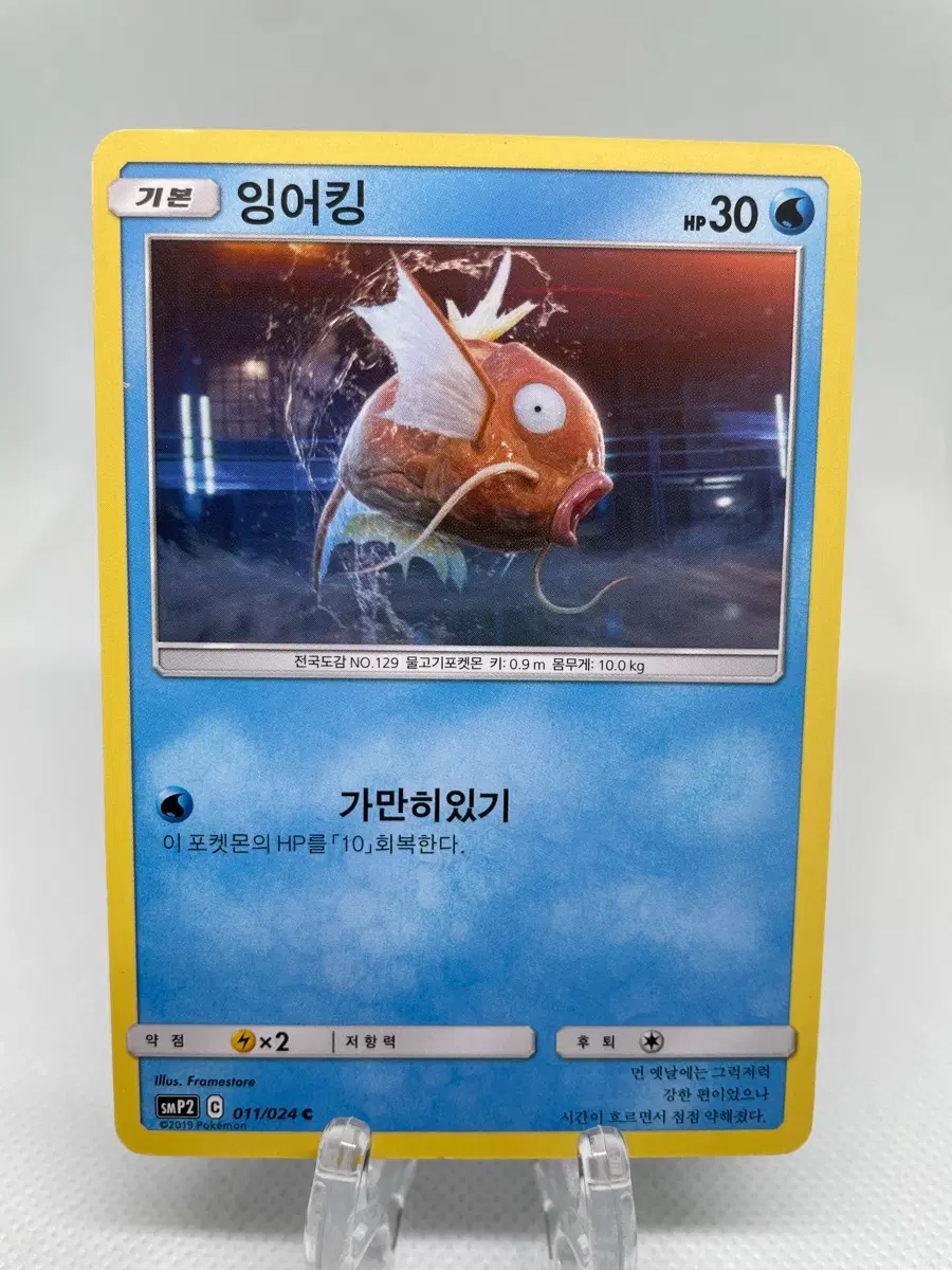 2019년 잉어킹 포켓몬카드