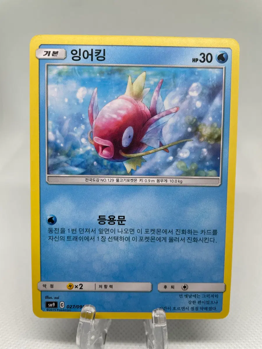 2019년 잉어킹 포켓몬카드