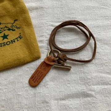 IL BISONTE