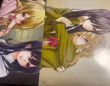citrus 시트러스 사부로타 혜택 클리어 파일 2장 세트