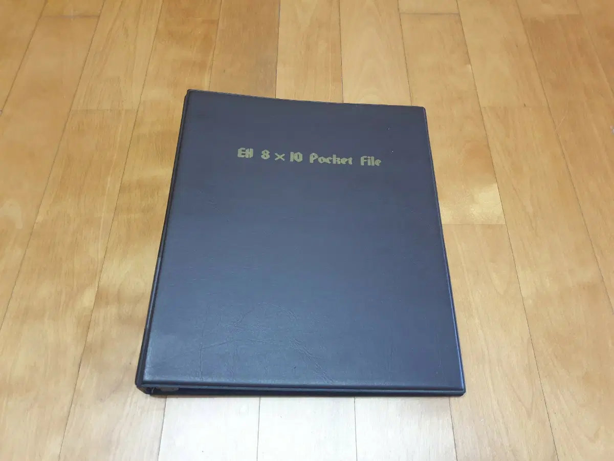 8x10 사진 파일