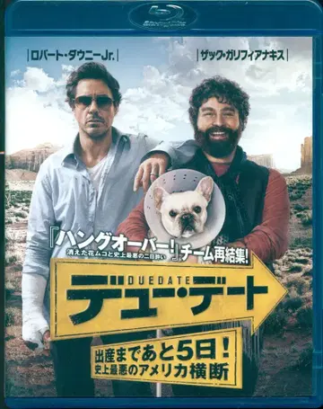 외국 영화 Blu-ray 듀 데이트 Blu-ray+DVD