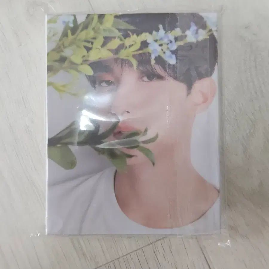 세븐틴 도겸 17 is right here 캐럿반 (풀구성)