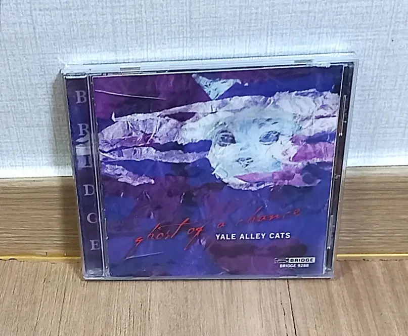 예일 앨리 캣츠 CD 앨범 Ghost of a Chance Yale Alley Cats