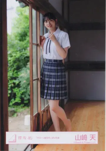 사쿠라자카46 랜덤 브로마이드 야마자키 텐 드론 선회 중 멀리서 찍은 모습