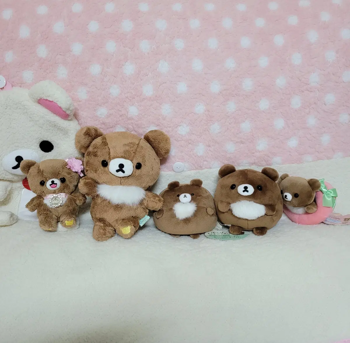 코구마 인형 포징 모찌 크앙 탄생석 10월 차이로이코구마 리락쿠마