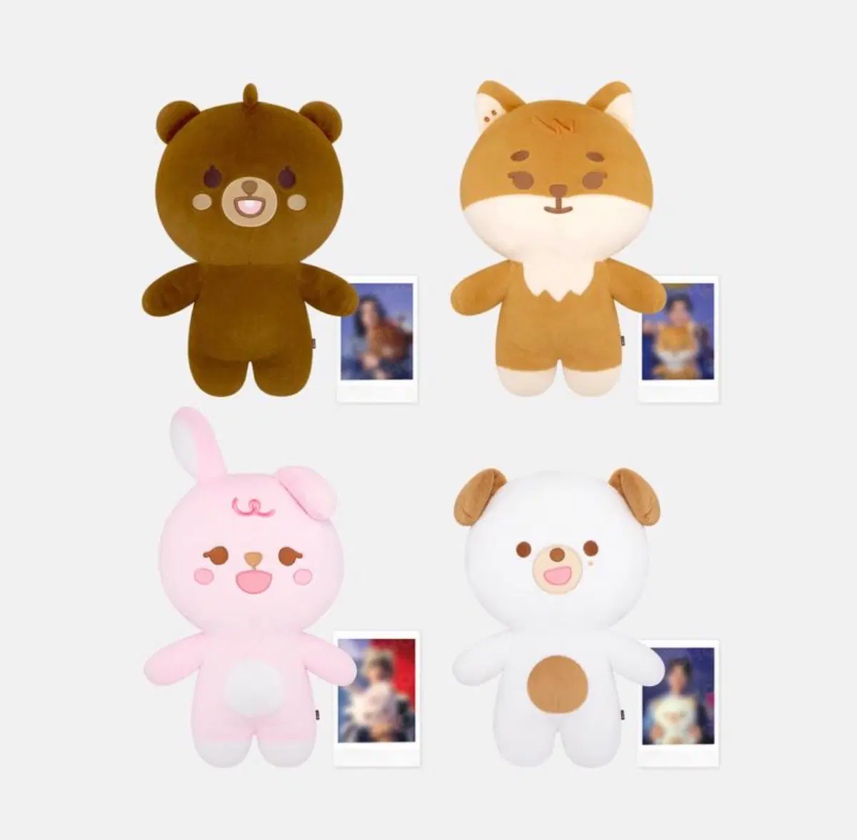 자쁘멀 필끼 양도