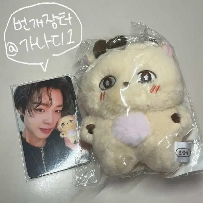 박지훈 소심이 인형 포토카드 굿즈