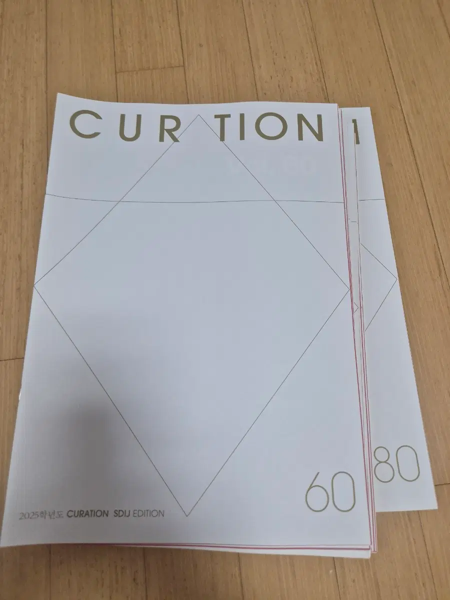 2025 시대인재 국어 CURATION (큐레이션) Vol.60~80 총 21권