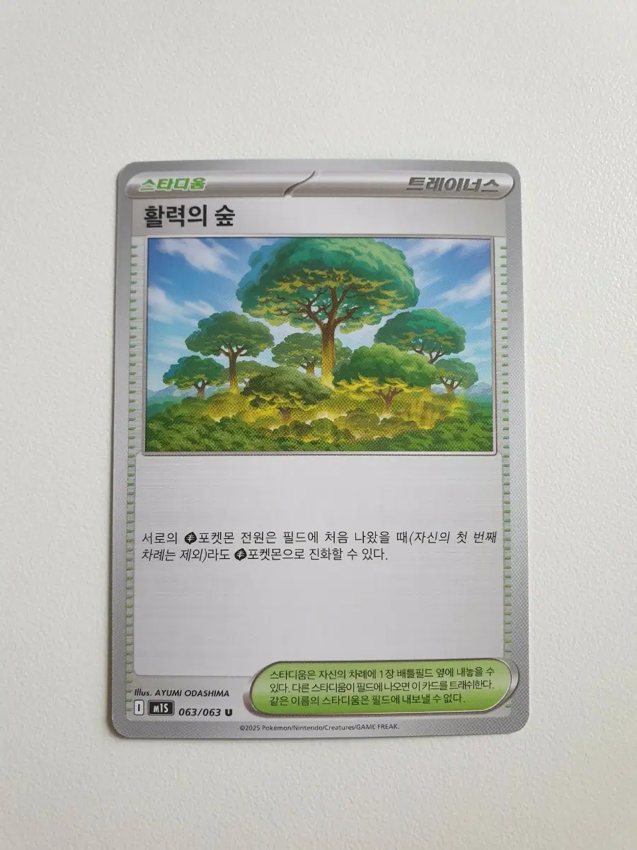 스타디움 활력의 숲 트레이너스 포켓몬카드