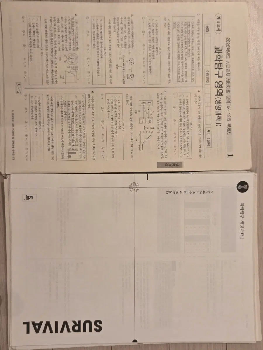 생명 재종컨