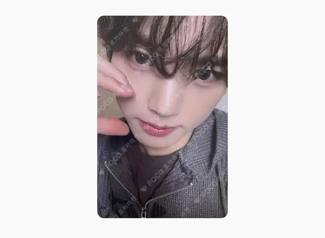 한유진 공방 포카 + 복숭아말랑이