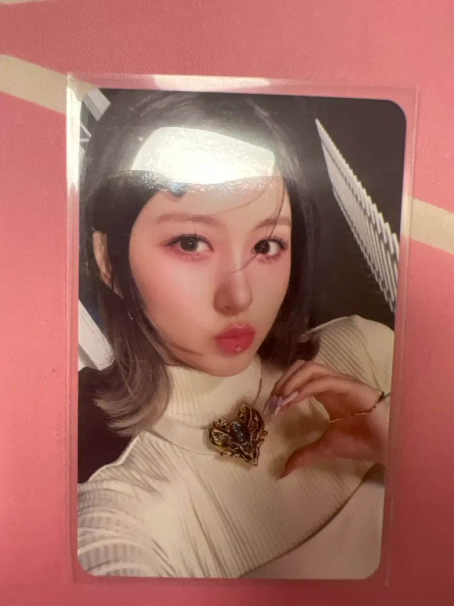 가을 포카