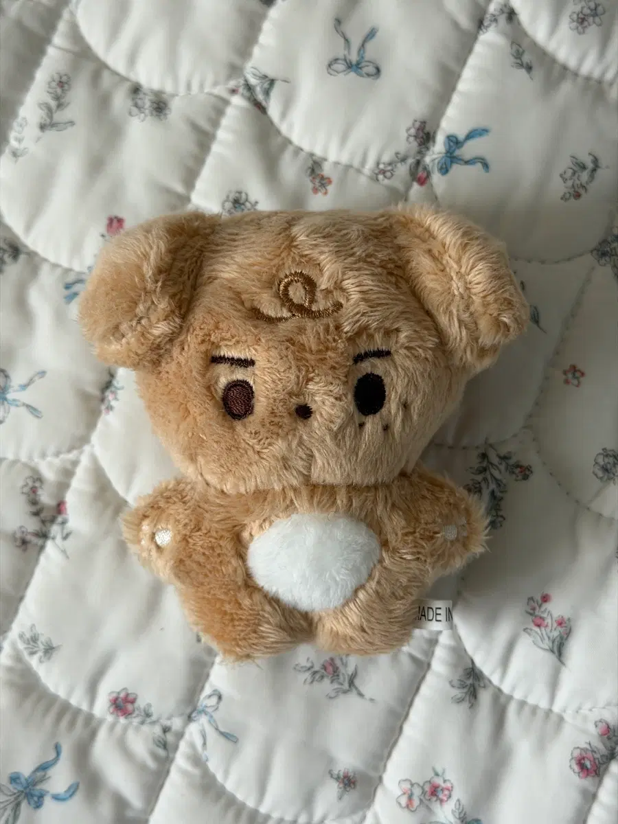이강인 인형 캉뭉이
