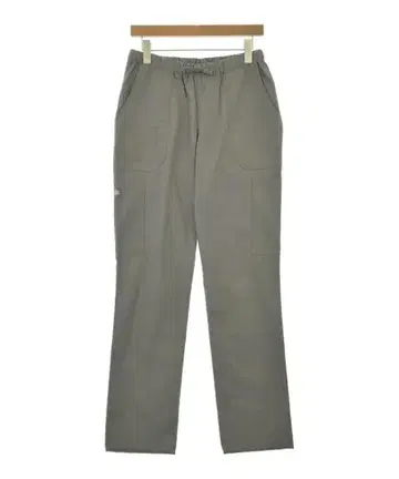 Dickies 팬츠 (기타) 남성용