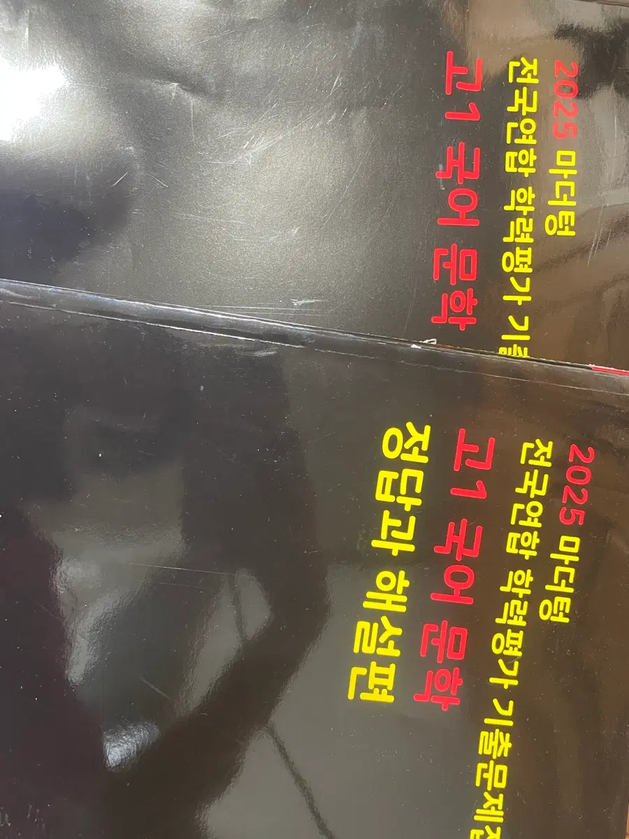 2025 마더텅 모고 고1 국어 문학