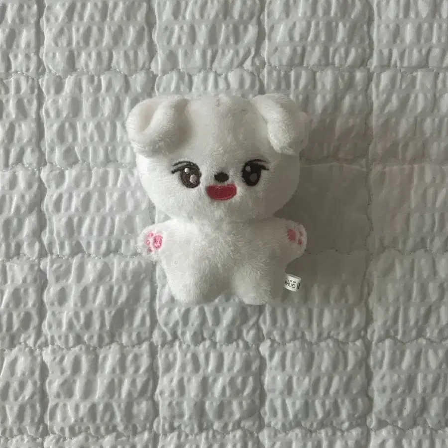 트레저 정우 비공굿 미니 인형