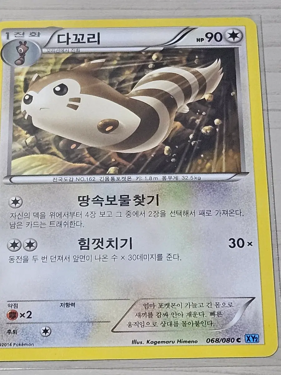 [최저가] 포켓몬카드 다꼬리