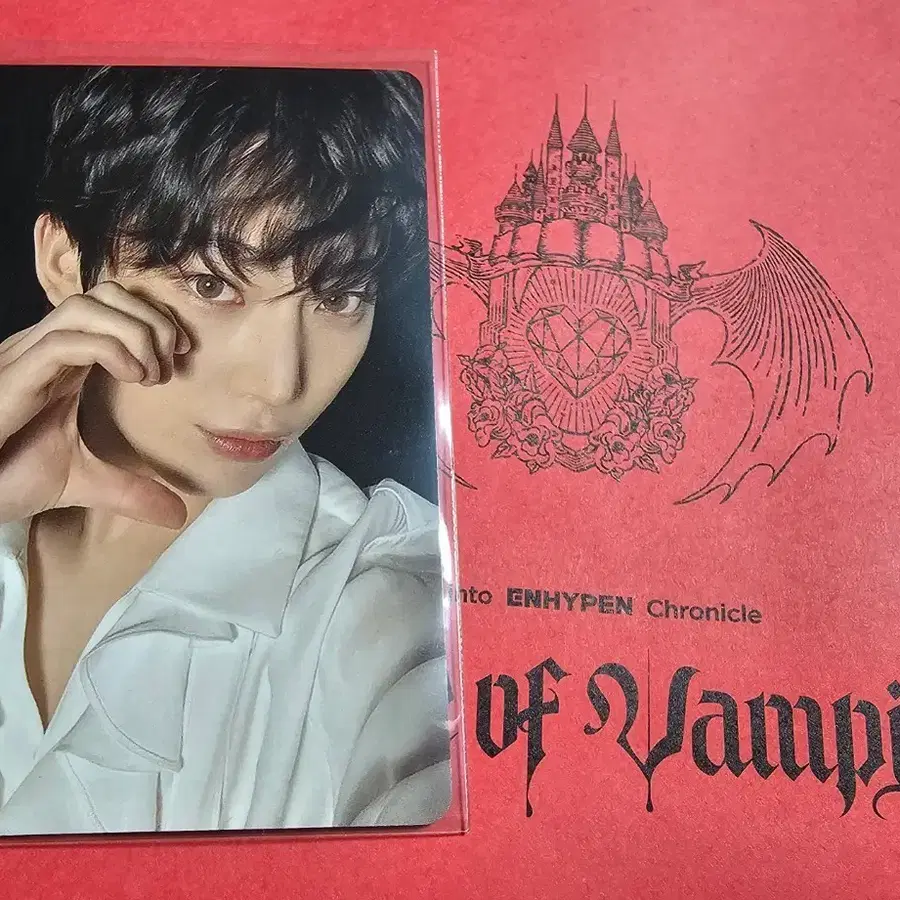 엔하이픈 하우스 오브 뱀파이어 VIP 선우 포카