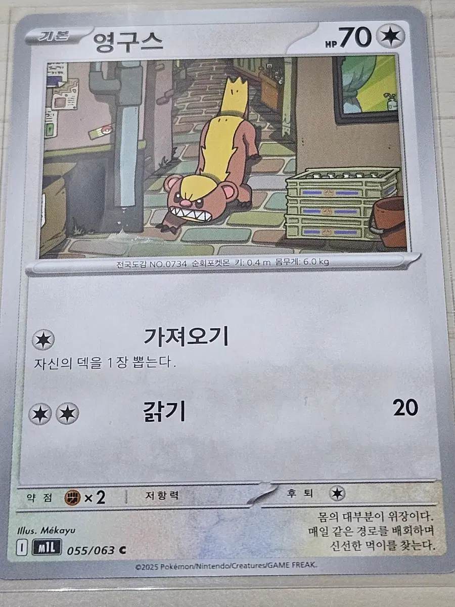 [최저가] 포켓몬카드 영구스