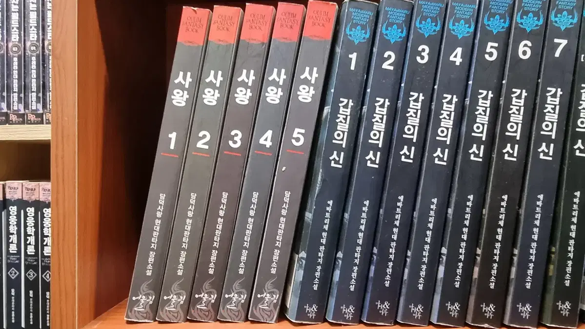 사왕 1-5 완 담덕사랑 현대 판타지 소설