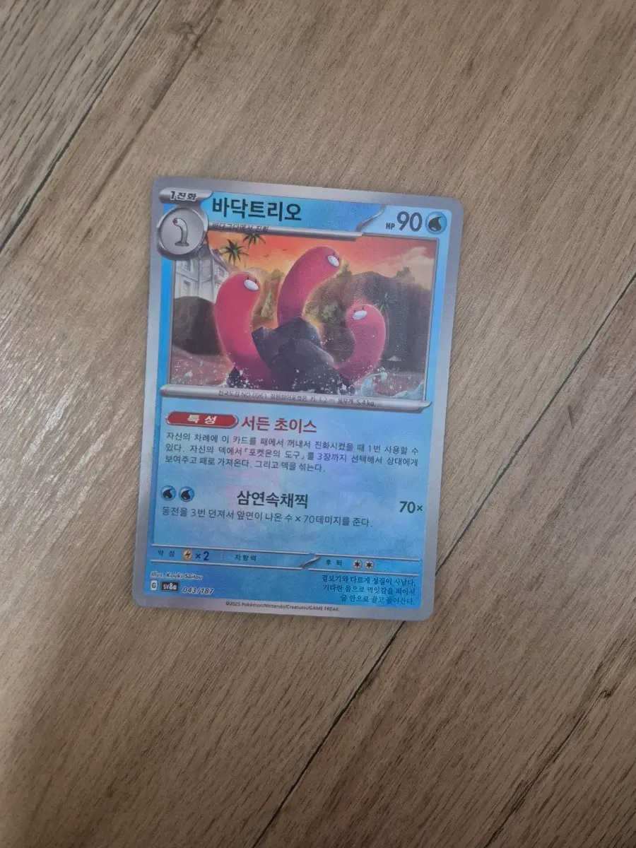 포켓몬 카드 바닥트리오 마스터볼 홀로그램