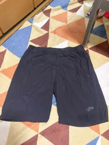THE NORTH FACE 숏팬츠 블랙